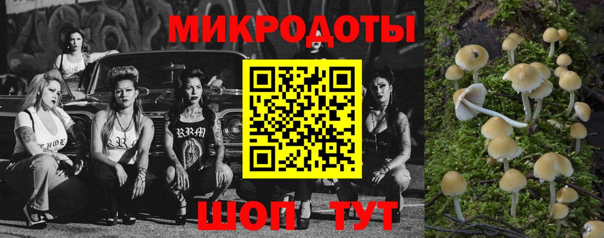 Галлюциногенные грибы GOLDEN TEACHER Ачинск