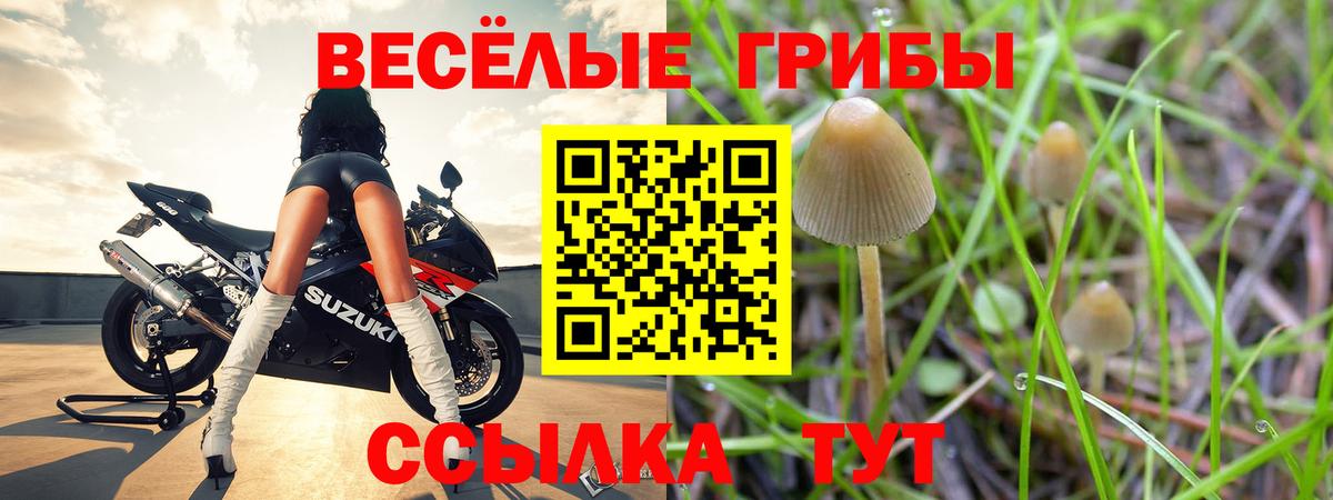 Ачинск  Псилоцибиновые грибы прущие грибы  как найти закладки  Вход с VPN 